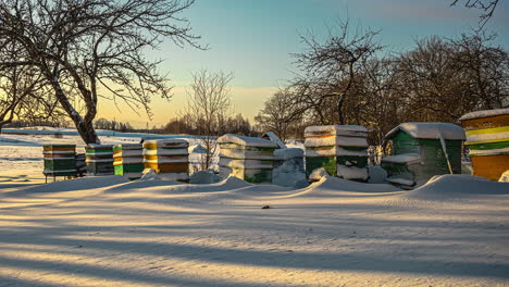 Zeitraffer-Mit-Blick-Auf-Den-Im-Schnee-Und-Nebel-Eingefrorenen-Bienenkasten-Mit-Den-Bäumen-Vor-Einem-Natürlichen-Hintergrund