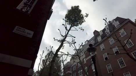 Ramas-Que-Caen-De-Un-árbol-Cortado-Por-Un-Arbolista-En-Londres