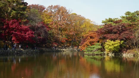 Koreanische-Touristen-Besuchen-Den-Changgyeonggung-Palast-Und-Fotografieren-Malerische-Bunte-Herbstbäume-Am-Chundangji-Teich