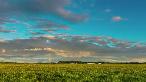 Time-lapse-shot-of-sunset-over-a-golden-wheat-field-on-a-farm