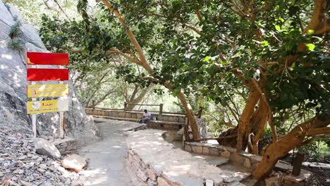 Caminando-Alrededor-De-Ti-En-Un-Pueblo-Viendo-Un-Hermoso-árbol,-Un-Hombre-En-El-Fondo