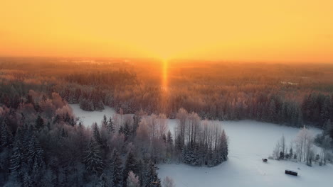 Aerial-view-of-winter-landscape-sunset-with-yellow-and-orange-gradient-sunburst,-christmas-background-forest-and-sky-scene