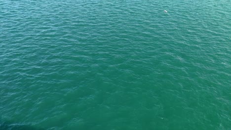 Time-lapse-of-calm-green-sea-waters-inside-of-a-port