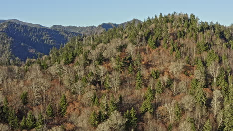 Smokey-Mountains-Aerial-V19-Drone-Volando-Alrededor-Capturando-Paisajes-Montañosos-Con-Variedad-De-Vegetaciones,-Lentamente-Revela-Hermosas-Cadenas-Montañosas-En-El-Fondo---Noviembre-De-2020