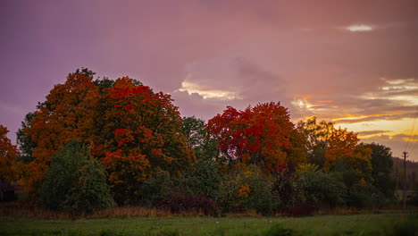 Colorful-spring-trees-with-dramatic-sky-in-twilight,-nature-time-lapse---establishing-shot