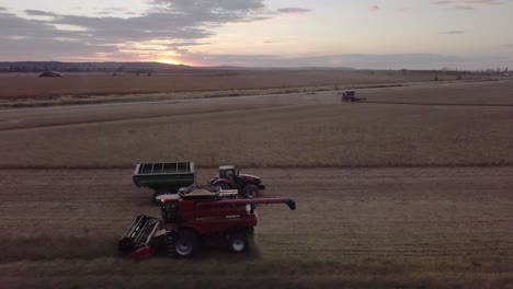 Farmer-uses-combine-to-harvest-wheat-barley-grain-soy-or-oat-field-in-fall-autumn-season-shot-with-aerial-drone-video-stock-1
