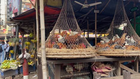 Reihe-Frischer-Hühner-In-Hängenden-Netzkäfigen-Am-Marktstand-Auf-Der-Straße-In-Dhaka