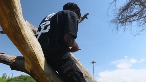 Toma-En-Cámara-Lenta-Inferior-Superior-Del-Niño-De-Tez-Oscura-Sentado-En-La-Rama-De-Un-árbol-En-El-Parque-Explorando-El-Entorno-Alrededor-Del-Parque-Haciendo-Clic-En-Imágenes-En-Harare,-Zimbabwe