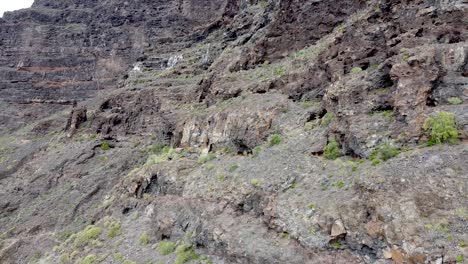 Aerial-drone-view-on-rough-volcanic-mountainsides-in-Anaga-National-Park-in-Tenerife,-Canary-Islands,-Spain