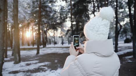 Back-view-of-woman-taking-picture-of-pine-forest-in-winter-during-sunrise