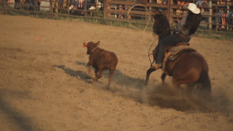 Vaqueros-A-Caballo-Atando-Un-Ternero-Corriendo-En-Una-Arena-Polvorienta-En-Un-Rodeo-Campestre