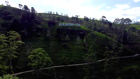 Luftaufnahmen-Von-Menschen,-Die-Teeplantagen-Und-Produktionsfabriken-In-Nuwara-Eliya-Und-Ella-Besuchen,-Grüne-Regenwaldhügel-Im-Hintergrund,-Sri-Lanka