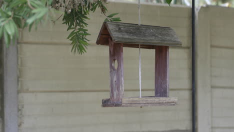 An-old-weathered-wooden-handmade-bird-feeder-swings-in-the-wind