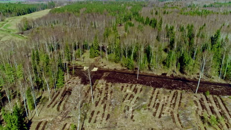 Aerial-flyover-destroyed-forest-after-stormy-night---Forest-Clearance-in-Nature---Climate-Change-on-Earth