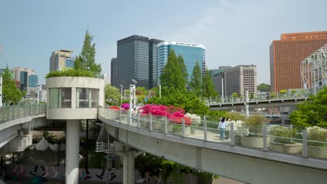 Flowers-and-trees-beautify-the-Seoullo-7017-manmade-skygarden-walking-street-in-Seoul,-South-Korea