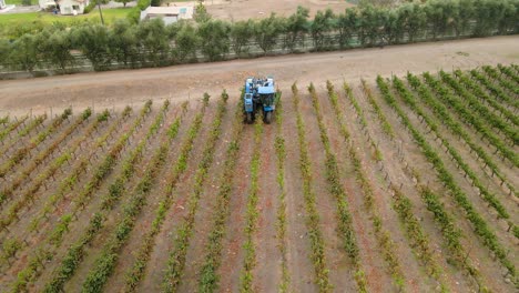 Zoom-out-aerial-view-of-a-blue-grape-harvester-in-Talagante,-Maipo-Valley,-Chile