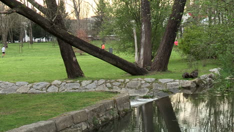 Bild-Eines-Parks-Mit-Einem-Kleinen-Fluss,-Bäumen-Und-Sportlern-Im-Hintergrund