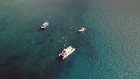 Aerial-view-of-swimmers-snorkeling-in-Hawaiian-waters-on-a-sunny-day