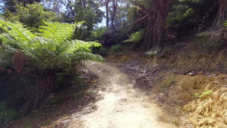 A-first-person-perspective-of-walking-along-the-Queen-Charlotte-Track-in-the-South-Island-of-New-Zealand