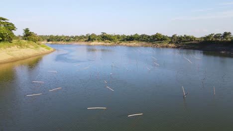 flying-close-over-the-water-of-surma-river-with-sticks-all-over-the-river-for-stake-net-fishing-in-Bangladesh
