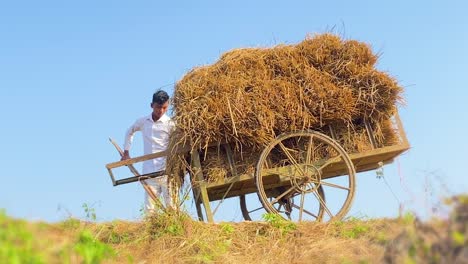 Una-Filmación-Rústica-Y-Encantadora-De-Un-Carro-O-Carro-De-Granja-Cargado-Con-Paja-O-Heno