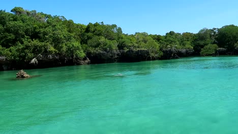 Mujer-Bañándose-En-Una-Laguna-Tropical-Azul-Rodeada-De-Manglares-En-La-Isla-De-Kwale,-áfrica-Oriental