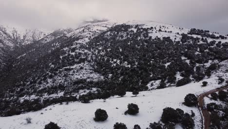 Paisaje-Invernal-Maravilloso,-Vasta-Montaña-Cubierta-De-Nieve-Con-árboles-Y-Senderos