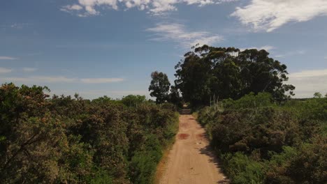 FPV-shot-Of-Long-Empty-Rural-Dirt-Road-Middle-Of-Green-Trees-Under-Blue-Sky