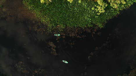 Aerial-drone-top-down-of-2-kayaking-fisherman-casting-a-line-into-clear-water-along-lush-green-shoreline-at-sunrise