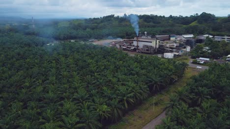 Aerial-drone-shot:-above-a-palm-plantation,-the-smoking-chimney-of-the-processing-factory-and-the-nearby-road