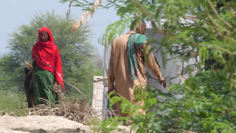 Local-Pakistani-Male-Walking-Past-Woman-Pulling-Cow-Seen-Through-Heat-Haze-In-Sindh,-Pakistan