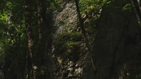 Slate-rock-cliff-in-deep-dark-forest-below-treetops-and-sunny-sky