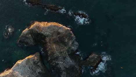 Drohnenaufnahme-Eines-Felsigen-Seevogellebensraums-Zur-Goldenen-Stunde-In-Kalifornien