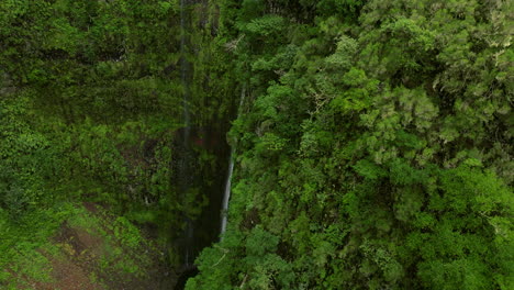 Scenic-Waterfall-And-Lush-Jungle-In-Levada-Caldeirao-Verde,-Madeira,-Portugal---aerial-drone-shot