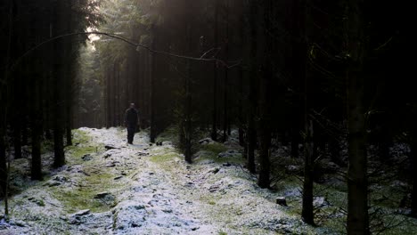 Man-walking-in-beautiful-dark-forest,-static-shot