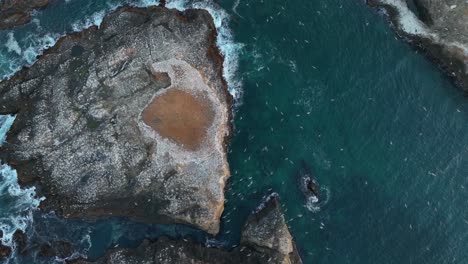 Top-down-drone-shot-of-a-protected-bird-sanctuary-in-the-Pacific-Ocean