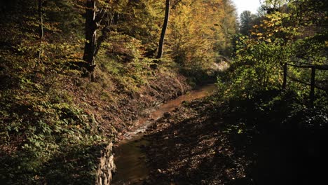 Orangefarbener-Herbstbach-In-Einem-Serbischen-Wald