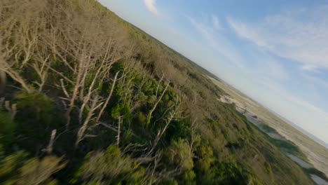 Drone-flying-over-forest-tree,-Soustons-in-Landes-department,-Nouvelle-Aquitaine-in-France