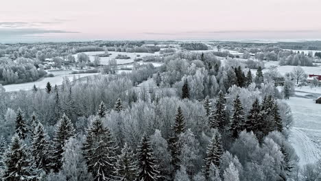 Luftbild-Winterwald-Mit-Schnee-Bedeckt-Mit-Kiefern-Und-Häusern