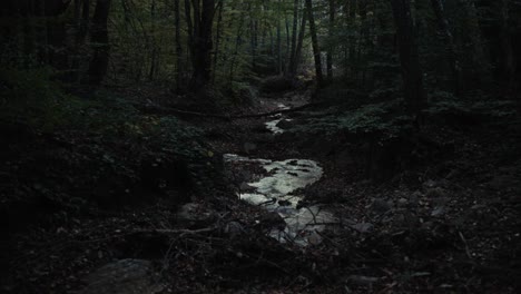 A-creek-in-the-woods-after-sunset