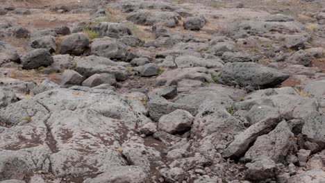 tilting-shot-of-the-arid-parched-ground-where-there-was-once-water-in-the-river-before-global-warming