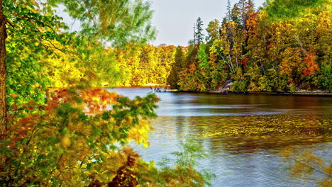 Zeitraffer-Eines-Bunten-Waldes-Im-Herbst-Mit-Fluss-Mit-Blättern
