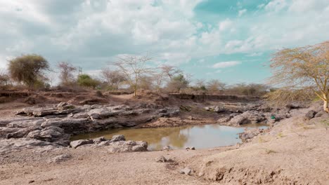 Eine-Letzte-Wasserpfütze-In-Einer-Trocknenden-Savanne-In-Afrika