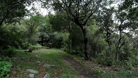 Front-view-of-man-with-backpack-walking-on-mountain-path-through-forest,-hiker-passing-by-alone,-static