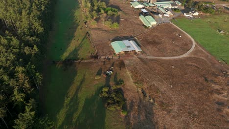 Umlaufende-Luftaufnahme-Einer-Privaten-Milchfarm-Auf-Whidbey-Island,-Washington