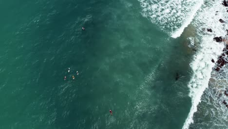 Bird's-eye-top-aerial-drone-shot-of-a-group-of-surfers-waiting-for-a-wave-on-their-boards-in-tropical-turquoise-water-in-the-coastal-town-of-Baia-Formosa-in-Rio-Grande-do-Norte,-Brazil