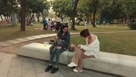 Dos-Dueños-De-Perros-Felices-Con-Sus-Mascotas-Hablando-En-Un-Parque-Verde-Urbano-El-Fin-De-Semana-Por-La-Tarde