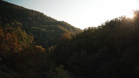 Un-Bosque-Durante-El-Otoño-En-Las-Montañas-Serbias