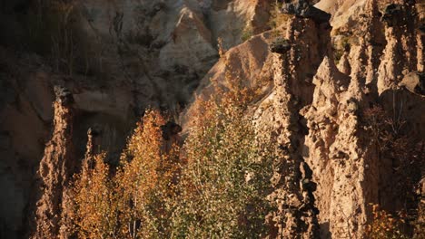 Devils-Town-rock-formation-with-windy-autumn-leaves
