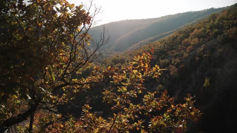 Ein-Waldtal-In-Serbien-Im-Herbst